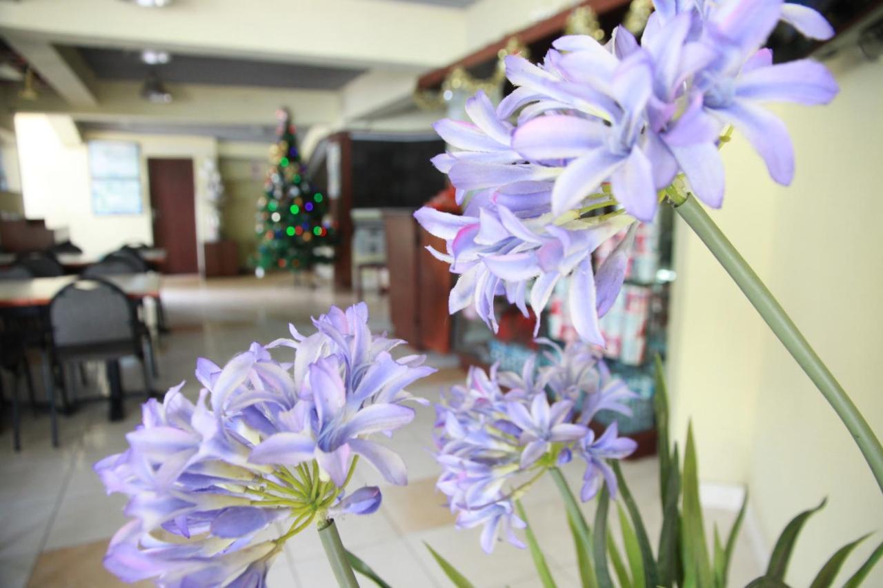 Pandu Lakeside Hotel Parapat Zewnętrze zdjęcie
